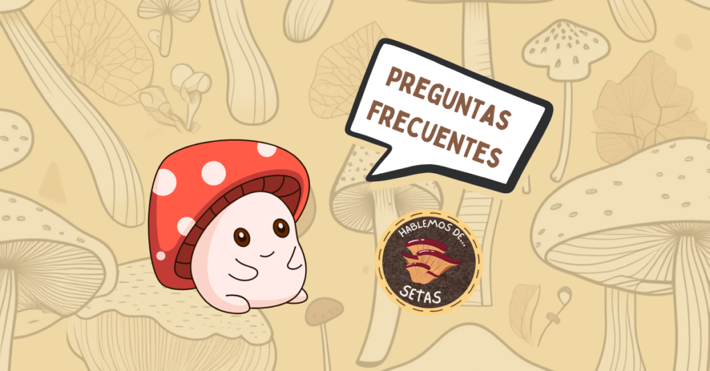 Preguntas frecuentes hablemos de setas